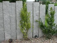 Schneider