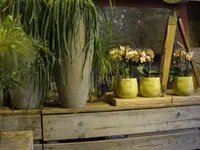 ART NATURAL stucki