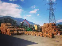 AFOR Parco SA