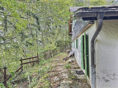 Petit chalet au milieu de la nature à Châtel-St-Denis