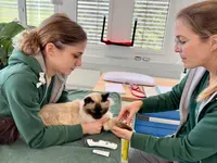 Katzen-Praxis.ch - Klicken Sie, um das Bild 20 in einer Lightbox vergrössert darzustellen