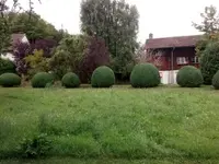 Mémoires d'Arbres