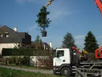 Emery Arbres SA - Klicken Sie, um das Bild 4 in einer Lightbox vergrössert darzustellen