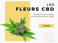 Sélection Naturelle - CBD Suisse en ligne