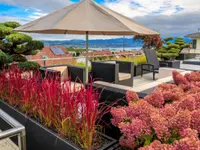 Zweifel Terrazza AG