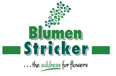 Blumen Stricker