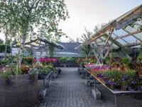 Brechbühl Fleurs