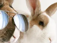 Ottica Poretti Sagl