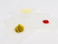 SEBIO GmbH