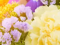 Agenzia Andreetta Jacobacci SA | Onoranze Funebri Bellinzona