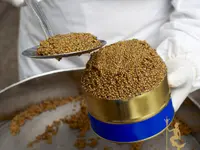 Trebla AG
