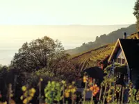 Domaine des Rueyres - Laurent Cossy - Klicken Sie, um das Bild 4 in einer Lightbox vergrössert darzustellen