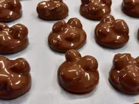 L'Atelier Chocolat Sàrl