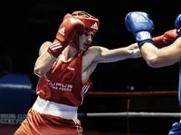 Boxing Club Fribourg - Klicken Sie, um das Bild 1 in einer Lightbox vergrössert darzustellen