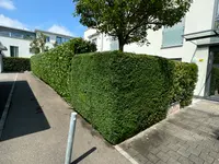 Casa Grande Hauswartung GmbH