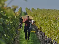 Domaine du Petit-Truet