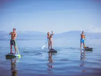 ALPHASURF