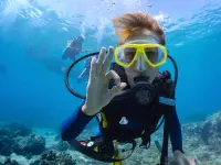 Marinereeus Dive and Boat