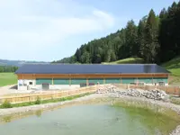 stettler polybau AG