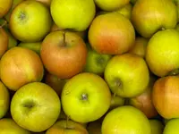 Rheinobst Genossenschaft