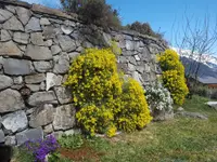 Ellès Jardins Sàrl