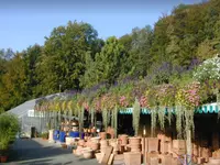 Blumenland Schweiz AG
