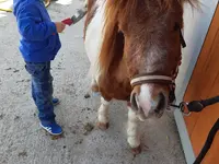 Brändlehof - Klicken Sie, um das Bild 2 in einer Lightbox vergrössert darzustellen