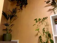 LB Pittura di Luca Baldassari