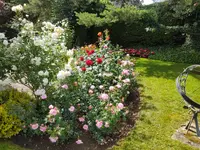 MM Gartenpflege GmbH