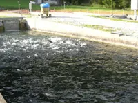Pigrusa Pisciculture de la Gruyère SA
