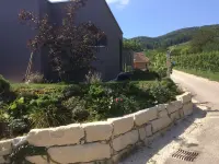 Jürg Zulauf Gartenbau