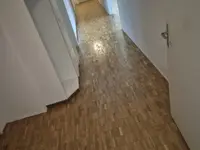 Reinigung und Renovation Antohi