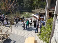 CORTE DEL VINO TICINO