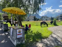 SUN RANCH Organisation