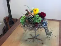 Blumen Candinas / Fluras Candinas