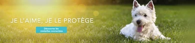 NATURA EQUIDOG Sàrl