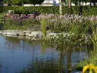 Wild Gartenbau AG