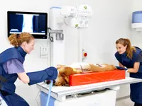 Marigin Tierklinik - Zentrum für Tiermedizin