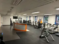 Fisioterapia Salus - Bellinzona