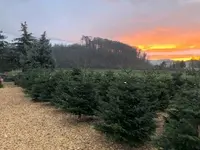 Bielser Hof - Klicken Sie, um das Bild 18 in einer Lightbox vergrössert darzustellen