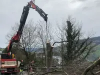 Ott Daniel Forstunternehmung - Klicken Sie, um das Bild 3 in einer Lightbox vergrössert darzustellen