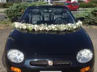 FlorStory