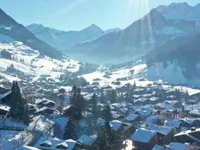 Newby Teas (Suisse) SA