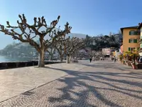 FEWOascona Sagl