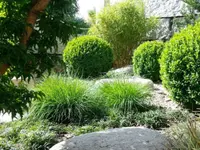 VITA VERDE AG