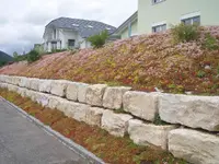 Lanz Jardin SA