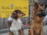 Kistler & Stettler AG