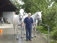 Seibold George - Klicken Sie, um das Bild 3 in einer Lightbox vergrössert darzustellen