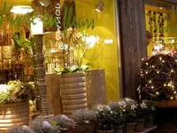 Vivre en fleurs SA