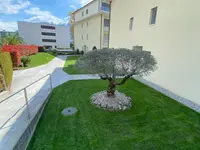 Selim Giardini Sagl